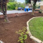 Garden Tidy-Up and Ivy Removal in Chorley